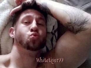 Whitetiger77