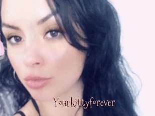 Yourkittyforever